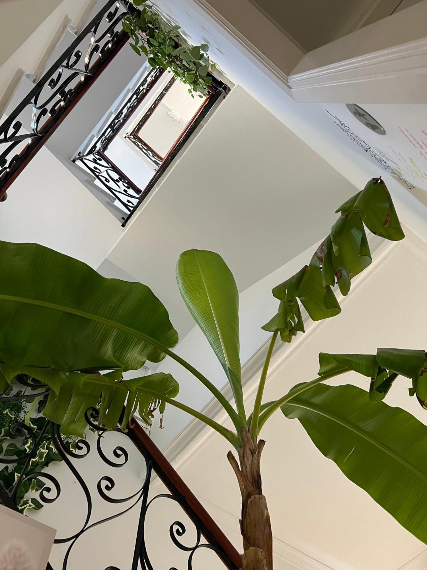 Balear Hotel ثيوداديلا المظهر الخارجي الصورة